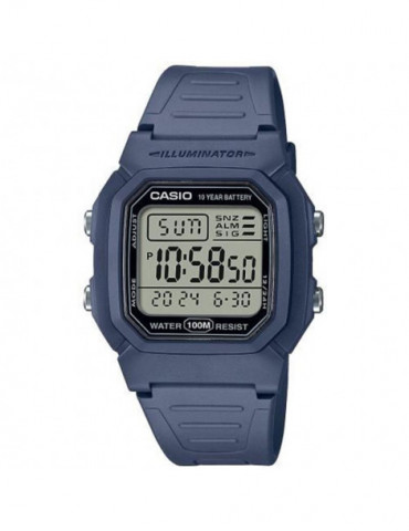 CASIO