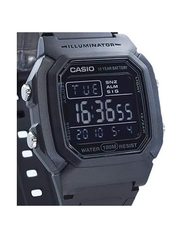 CASIO