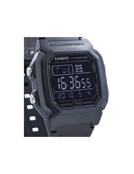 CASIO