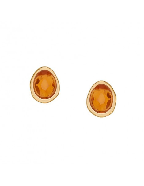 SKAGEN Boucles D'oreilles Sofie