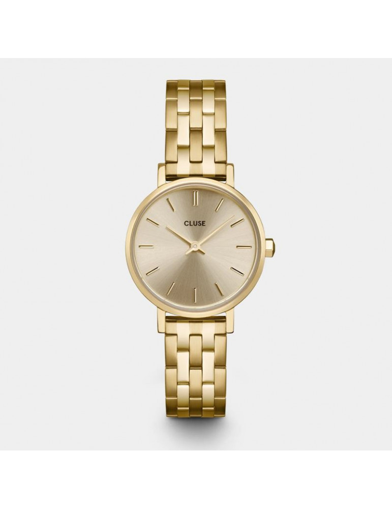 CLUSE Montre Boho Chic Petite Steel Gold