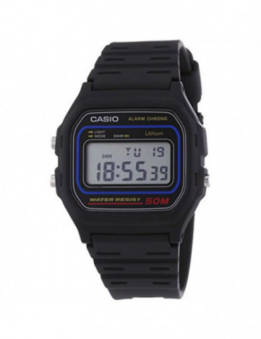 CASIO Vintage Résine