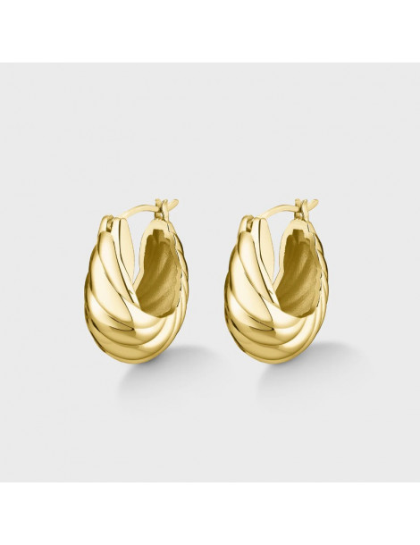 CLUSE Créoles Élevé Waved Gold