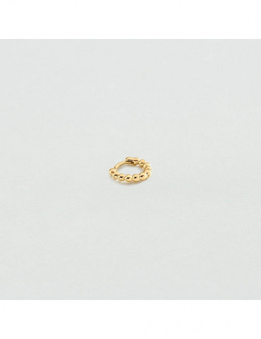 AGATHA Créole Duroc | Unité