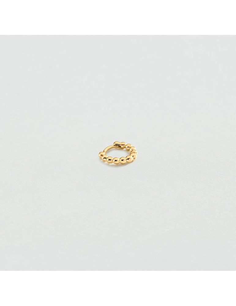 AGATHA Créole Duroc | Unité