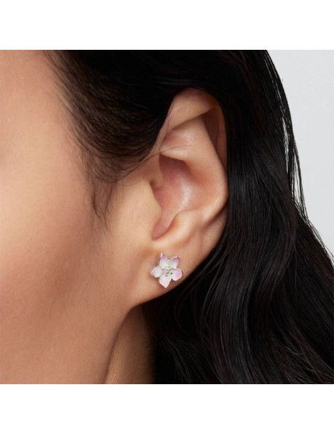 PANDORA Clous d'Oreilles Fleur de Cerisier